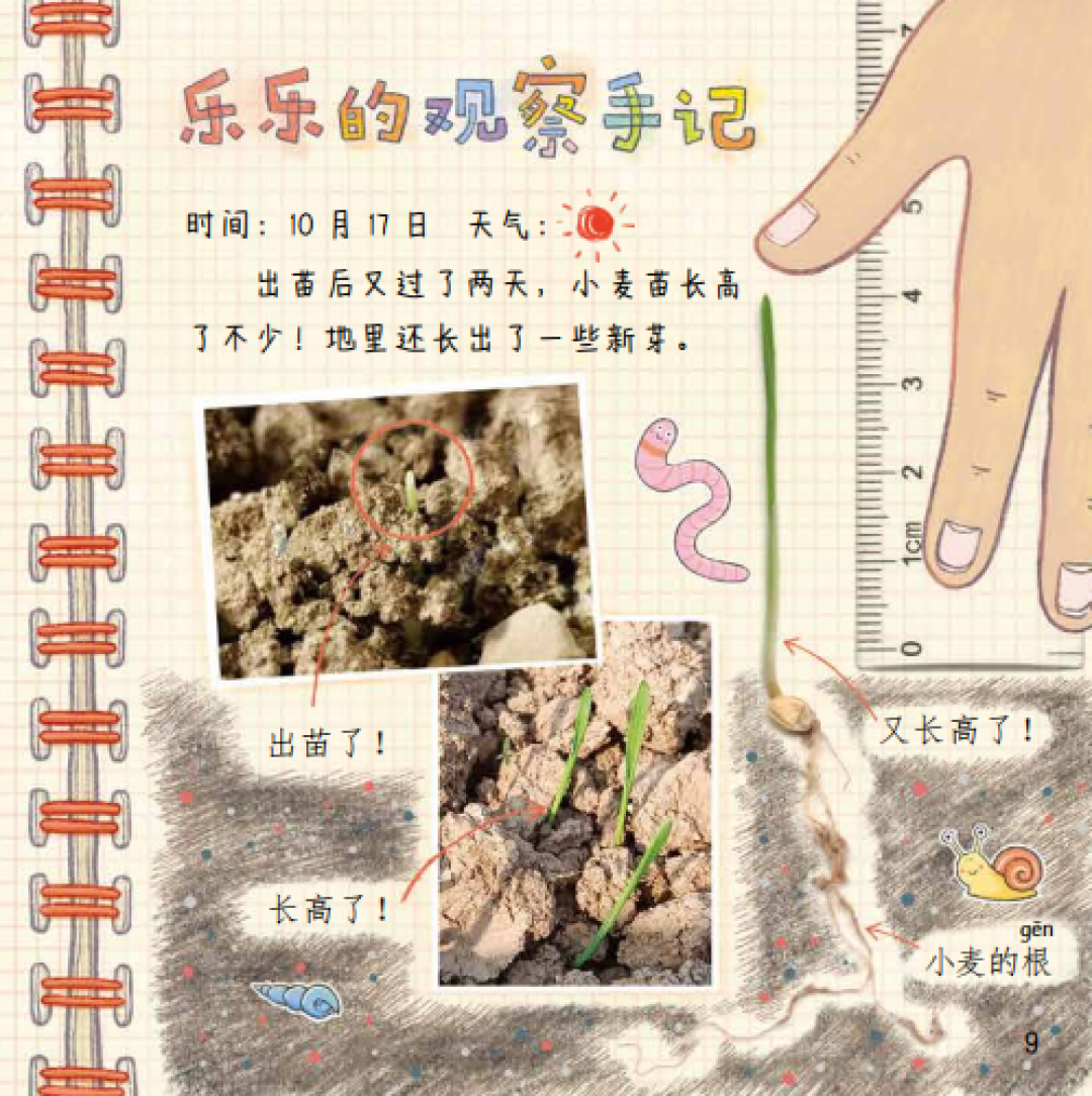 开学三周,识字欠账集中爆雷:先在小羊上山的字表上给娃定位,再谈怎么追