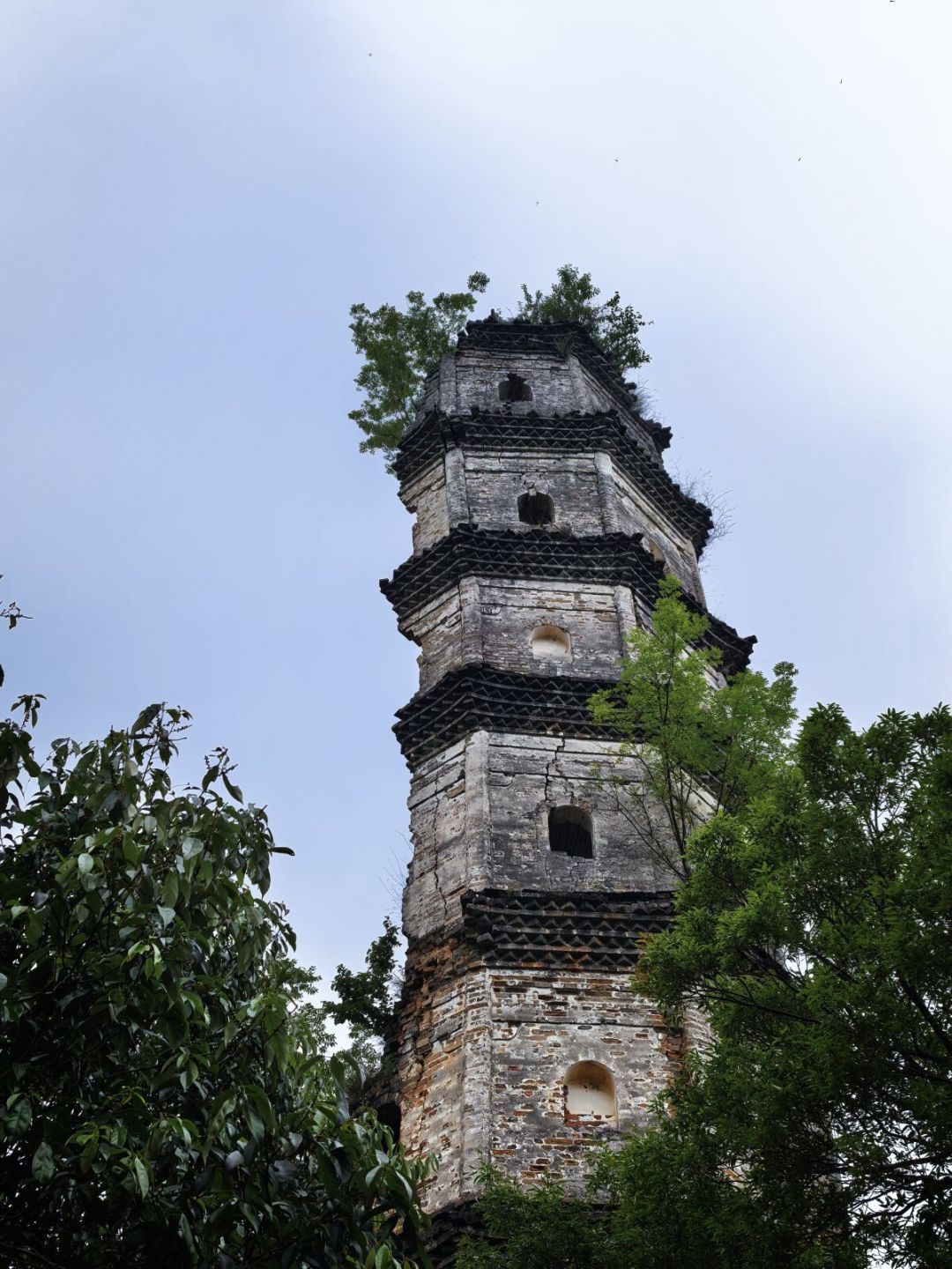 江西100县区都有古塔?我翻了5页评论:23个县报了塔名,4个县被点名“真没有”