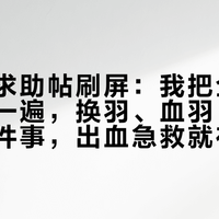 换羽季求助帖刷屏：我把全网热帖排了一遍，换羽、血羽、咬毛分成三件事，出血急救就在30秒