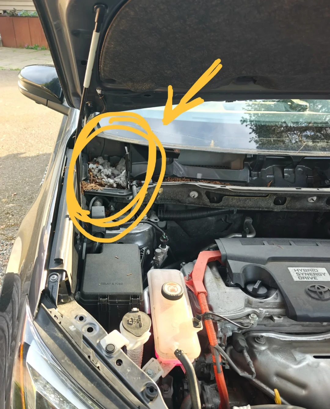 修理厂接线一百五,4S接线七百,换整套线束三千起:老鼠咬了机舱线,先分清咬的是哪根,再决定花哪档钱