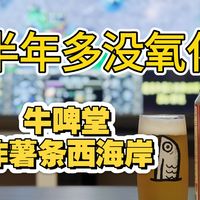 IPA风味、家酿实操 | 精酿啤酒9.23日报