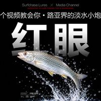 红眼路亚、秋季野钓 | 钓鱼9.23日报