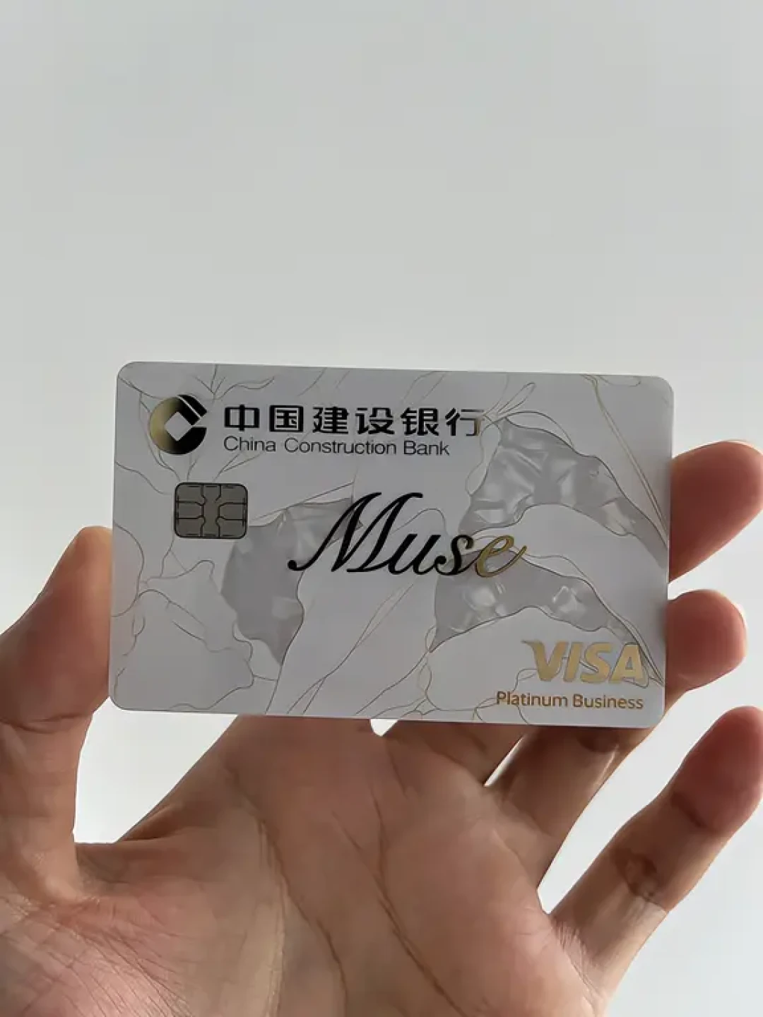 你的双标卡换「芯」后,Visa和银联正式