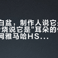 同一对白盆，制作人说它是"照妖镜"，老烧说它是"耳朵的侮辱"：翻完全网雅马哈HS争议帖，骂它和捧它的其实是同一件事