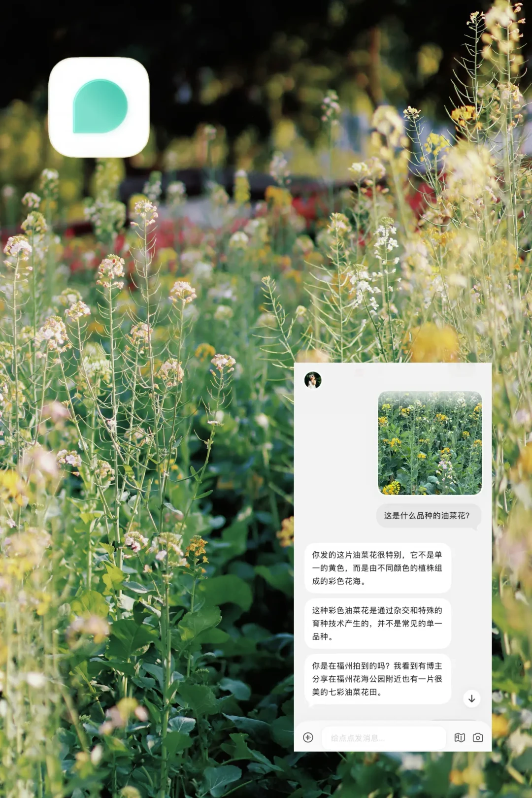 AI接住了娃的