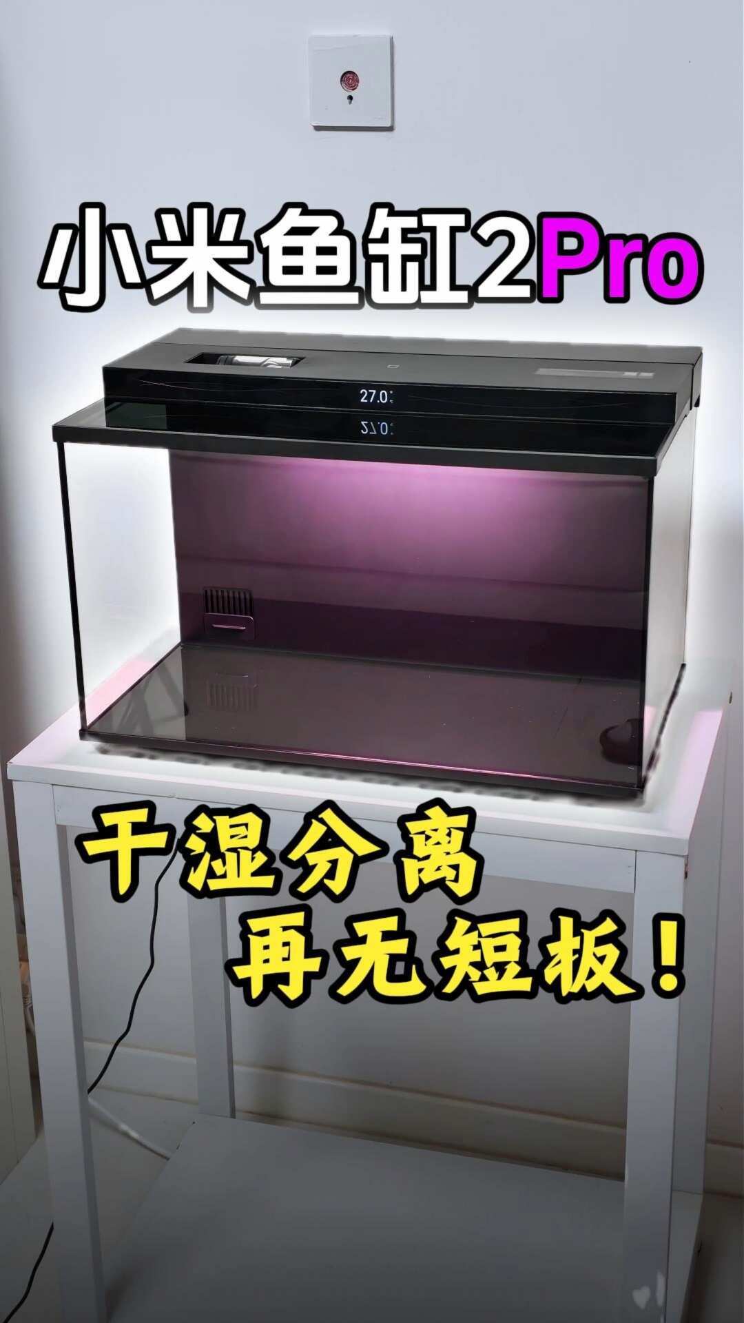 一天三帖