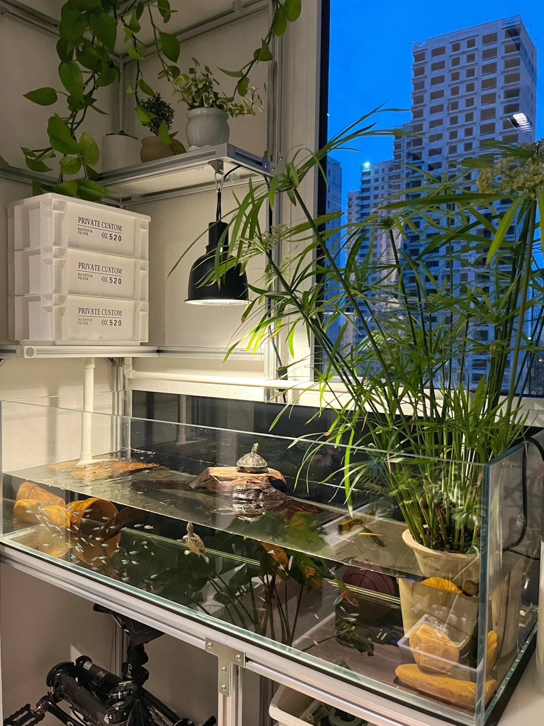 大缸进家之前,先算这笔承重账:1米5的缸满水近1吨,哪些地面能放、哪些位置别放