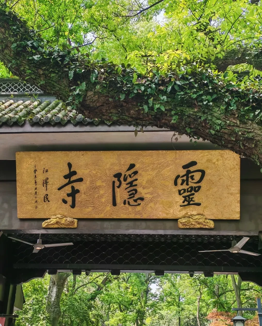 中秋国庆带老人娃去灵隐:先核“70岁”,再赌“8点前”,最后才轮到约哪个门
