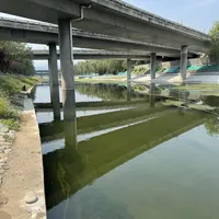 山溪要收口，城河刚开口：对完11份马口渔报，国庆前该钓的是闸口和桥下