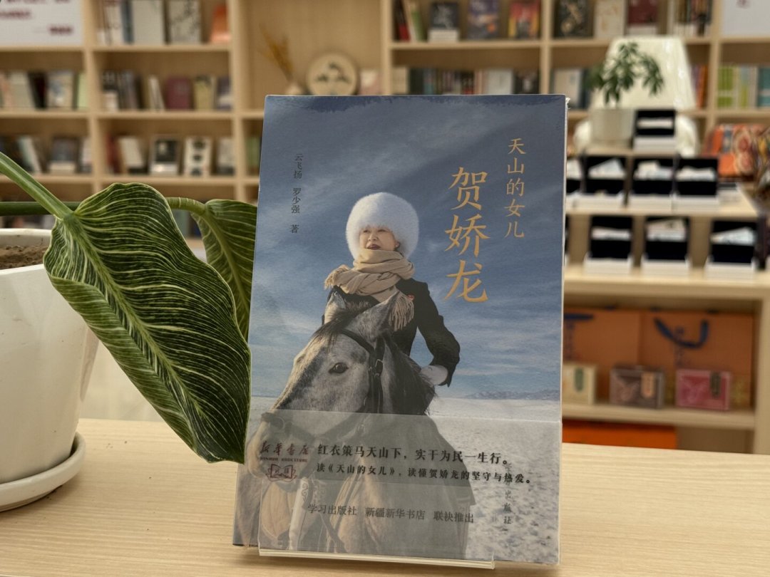 《天山的女儿：贺娇龙》创作谈刷屏：母亲拒绝立像，但这本传记5月底就上架了——值不值得买，账对完再定