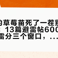 9月入的草莓苗死了一茬别急着怪自己：13篇避雷帖600条评论拆完，雷分三个窗口，一半怪不到你头上