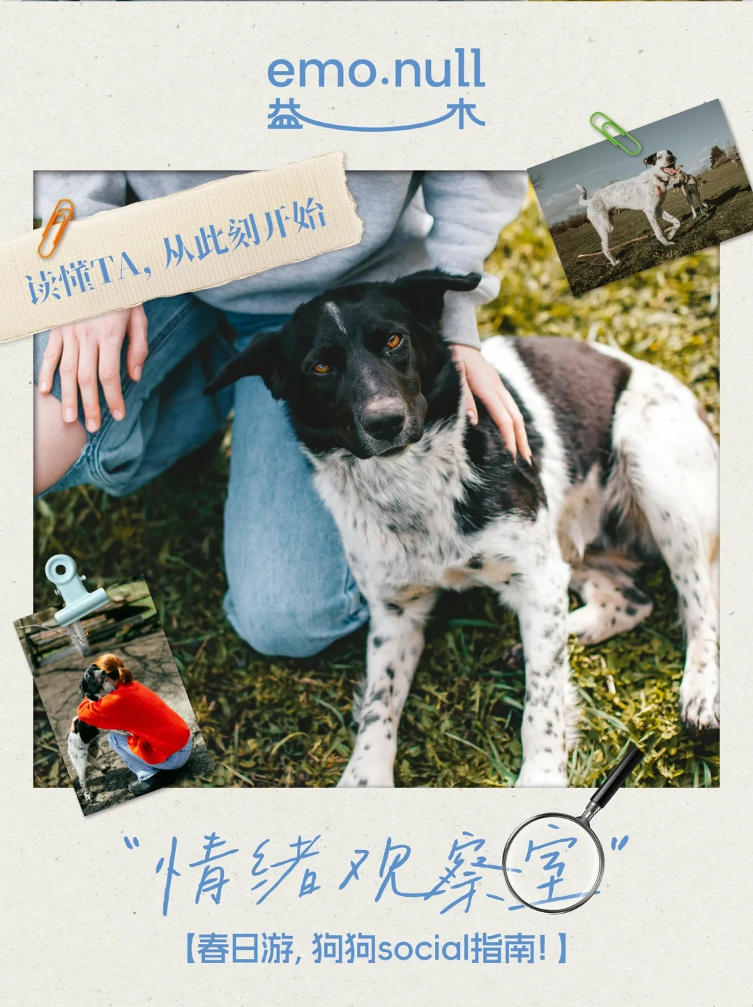 25278赞的“狗界礼仪”刷屏:翻完945条评论,狗漏尿、闻裆、翻肚皮时,最怕的是你回错礼