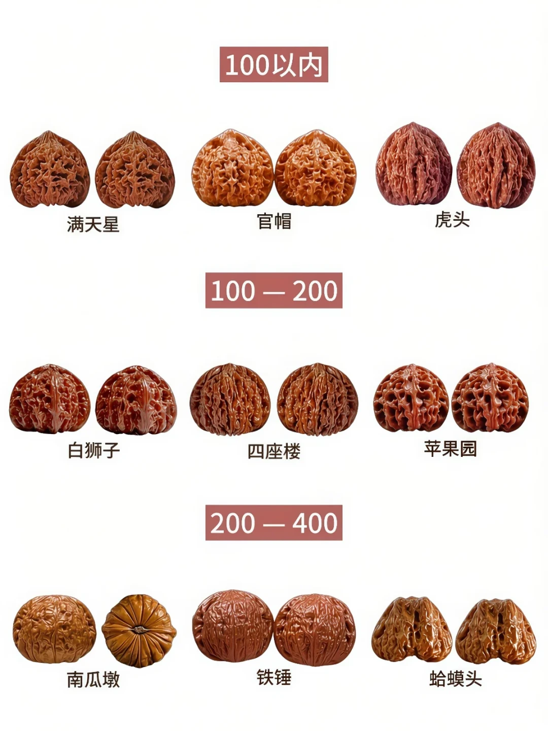 青皮15块一个、满天星敢喊1800:2026核桃下树季,第一对先对着这四档价再出手