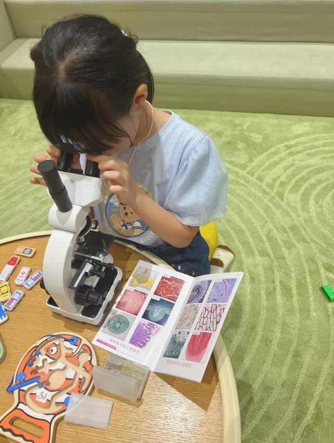 娃的生物课刚上到《学习使用显微镜》,先别急着下单:把