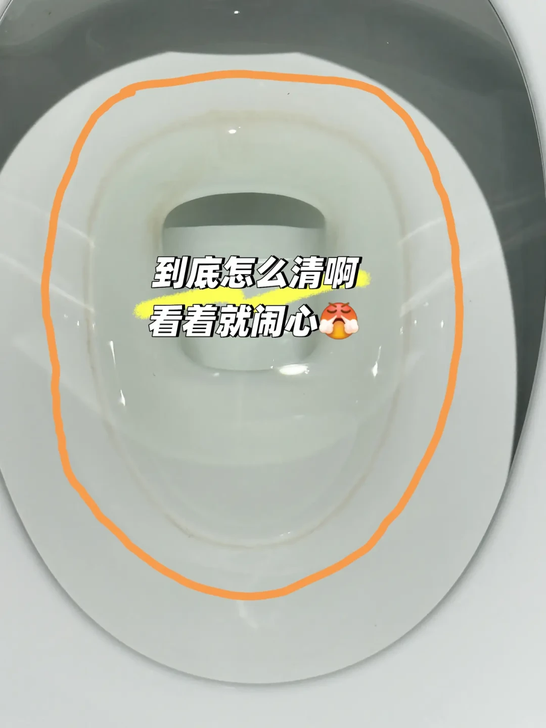 新房还没住人,TOTO马桶先黄了:黄的位置决定真凶,水位线、内壁、底座各是各的病,先对号再报售后