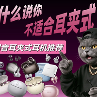 耳夹式耳机不是万能的，先对号入座