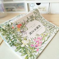 西魔女之死:治愈厌学心灵的良药