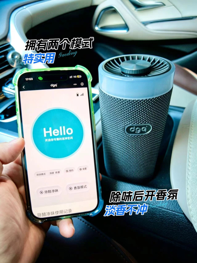 净化除味
