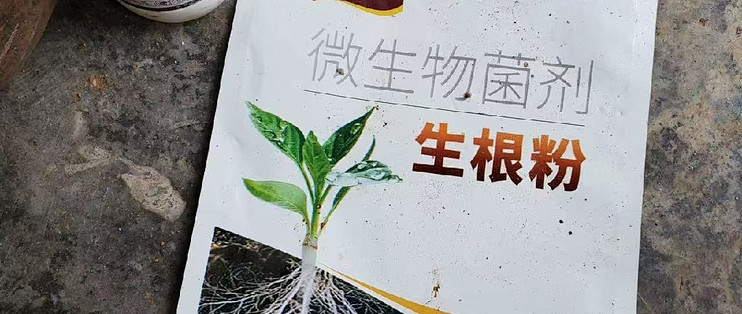 奥潍奥丰微生物菌剂，生根壮苗改良土壤