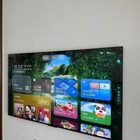 TCL 艺术壁纸 65T6MQD|MiniLED 电视