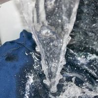 “建议大家把内裤袜子丢洗衣机洗”！网友吵翻了