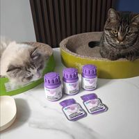 换毛季铲屎官必备✨卫仕猫咪营养全家桶