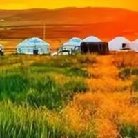 给老人选鱼油什么牌子更合适：先核对EPA、DHA与用药情况