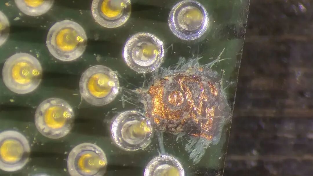 引脚移植手术成功!25岁图拉丁赛扬CPU死而复生,稳定超频1600MHz