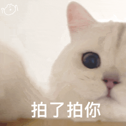 看似简单，其实最难！顶流诸神之战也分大小王！功能内卷都是常规，真正的“满血表”都在这了......