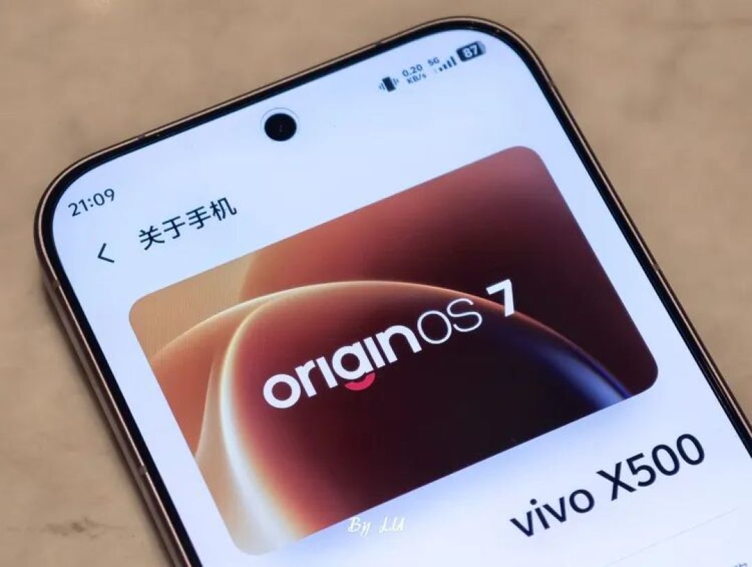 图源：不客观实验室