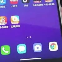 性价比封神的“洋垃圾”手机！2K LCD屏+HiFi解码，二手一百来块