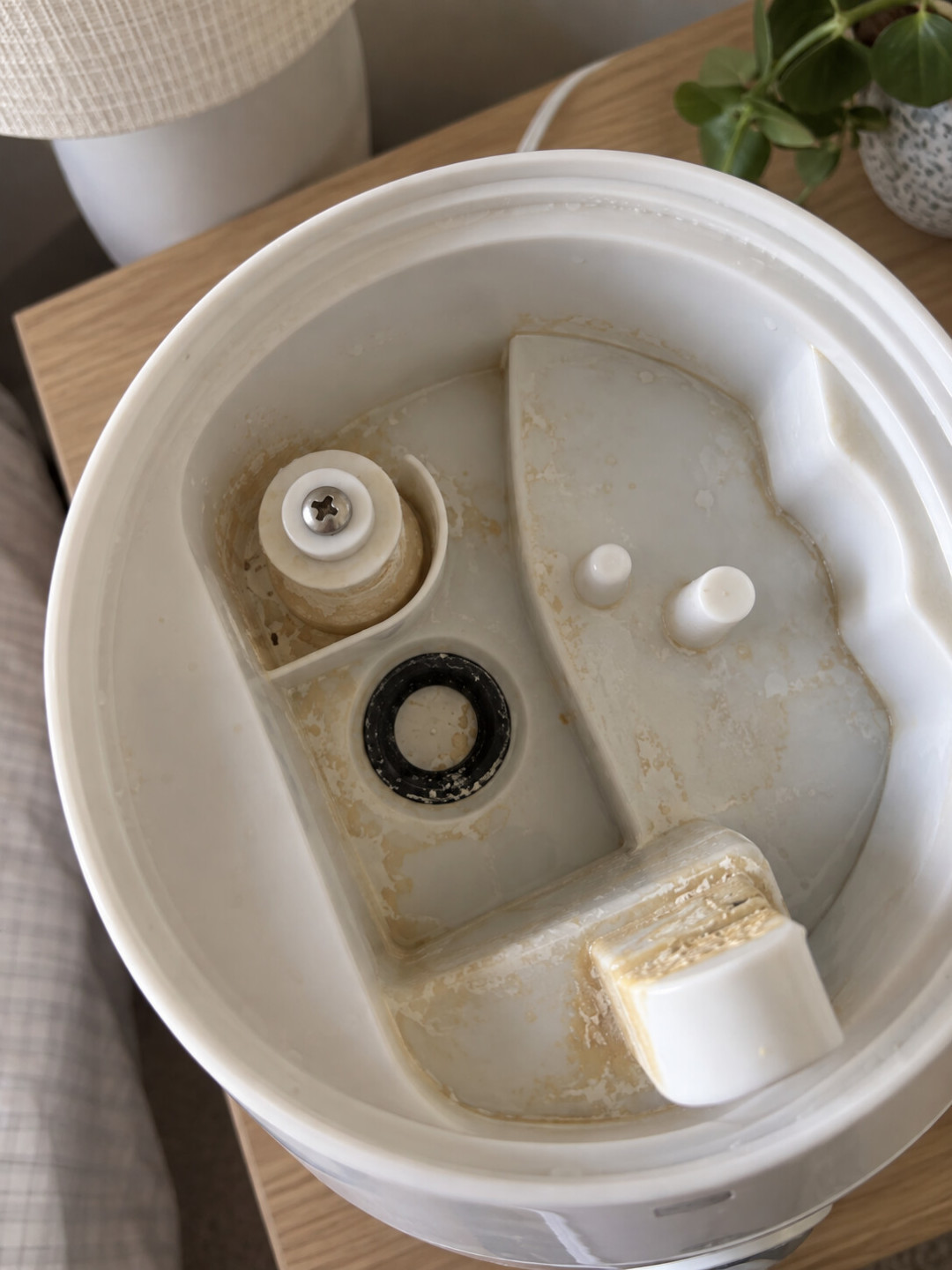 换季翻出加湿器一股霉味,想直接灌水开机?先别急,也别抄「必须用纯净水」「加点醋杀菌」:先看机器是出雾的超声波还是不出雾的蒸发式,再决定水箱里放纯净水还是自来水——韩国那场报告死亡超1800例的事故,水箱里加的就是到处在售的杀菌剂