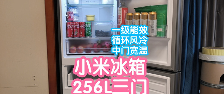 小米米家冰箱256L三门。一级能效循环风冷，中门宽幅变温