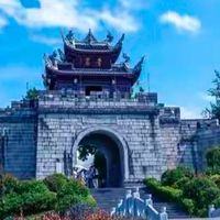 2026年胶原蛋白粉十大排名:粉剂形态分类选购指南