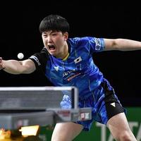 44年轮回！国乒冲击九连冠，张本智和能否打破宿命