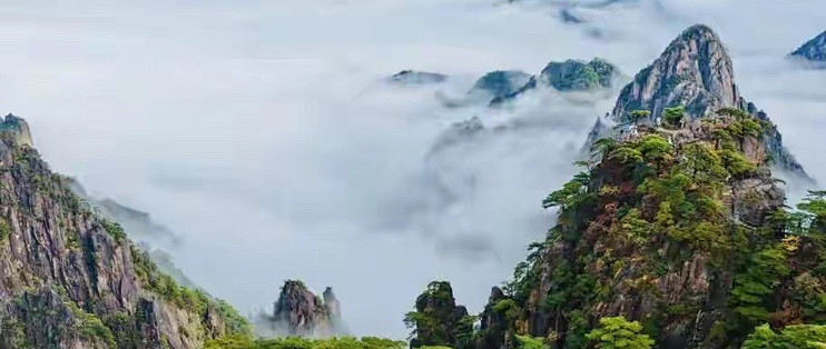 十款蛋白粉摆在一起，哪个品牌的配方更值得关注？