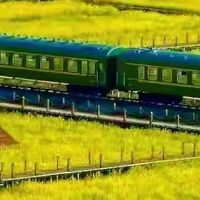 给父母买哪种海参？2026年送给爸妈的淡干海参选购攻略