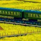 给父母买哪种海参？2026年送给爸妈的淡干海参选购攻略