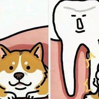 智齿不痛不用拔？我把牙医没空跟你说的，一次说清