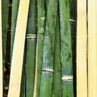 擦屁股这件"小事"，中国人其实才自由了 30 年