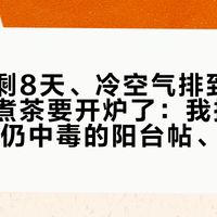 国庆还剩8天、冷空气排到月底，围炉煮茶要开炉了：我把开窗10厘米仍中毒的阳台帖、3267赞的「差点害死我」、劝退炭炉的实测和54629赞的省钱清单摆齐，理清电/炭的3条底线、1套装备账和开炉前4类人的动作