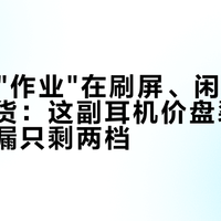 856的"作业"在刷屏、闲鱼454全是假货：这副耳机价盘裂成五档，真漏只剩两档