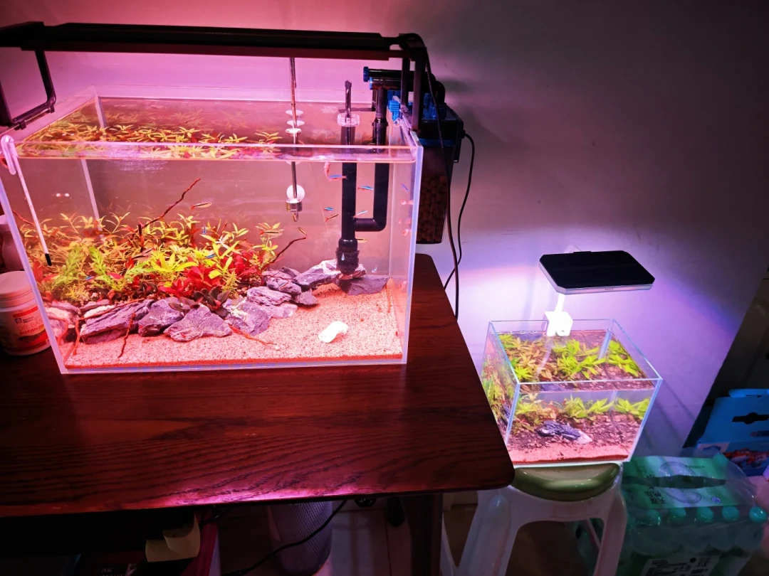 水草灯从8块到800块差价100倍:翻完全网灯具帖和300多条评论,光谱、寿命、散热、时长这四笔账算完再买