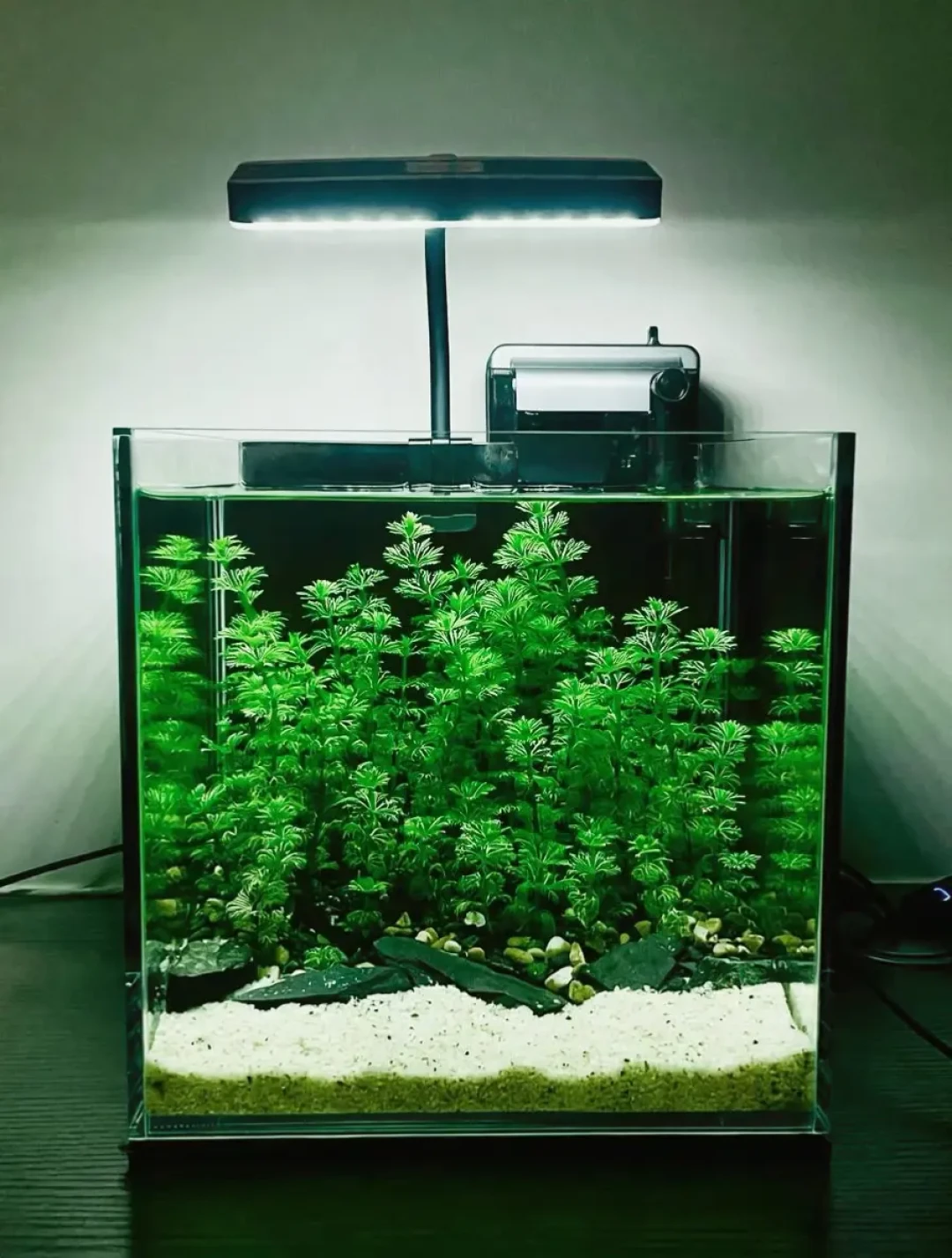 水草灯从8块到800块差价100倍:翻完全网灯具帖和300多条评论,光谱、寿命、散热、时长这四笔账算完再买