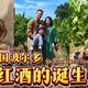 勃艮第买酒、VDP入门 | 精品葡萄酒9.24日报