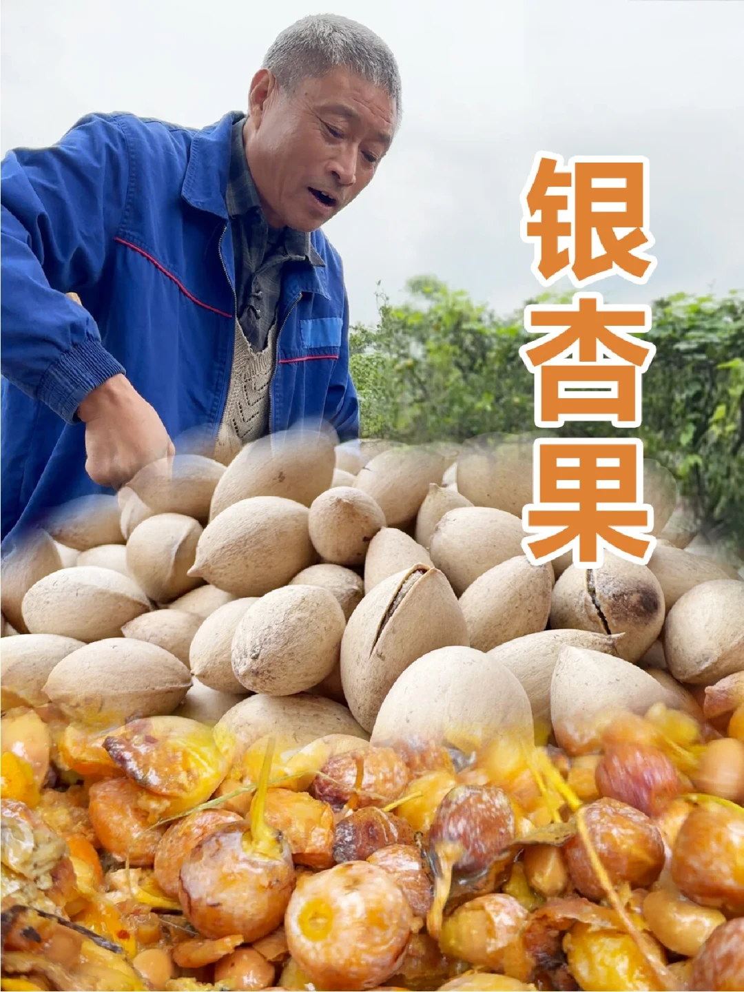 一边是2.3万赞的
