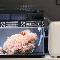 全网都在说599的智能缸能直接
