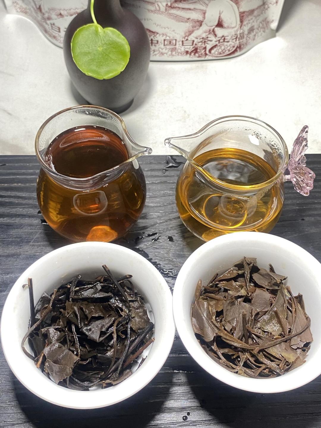 秋分刚过煮茶季开场,「十年老寿眉」突然变多了:我把9月23日两条同日避坑帖、外黑内绿的铁证、压饼只有二十多年历史的时间线和99元老饼的对不上账摆齐,理清做旧的3条路数、2种容易被误伤的茶和开炉前4类人的动作