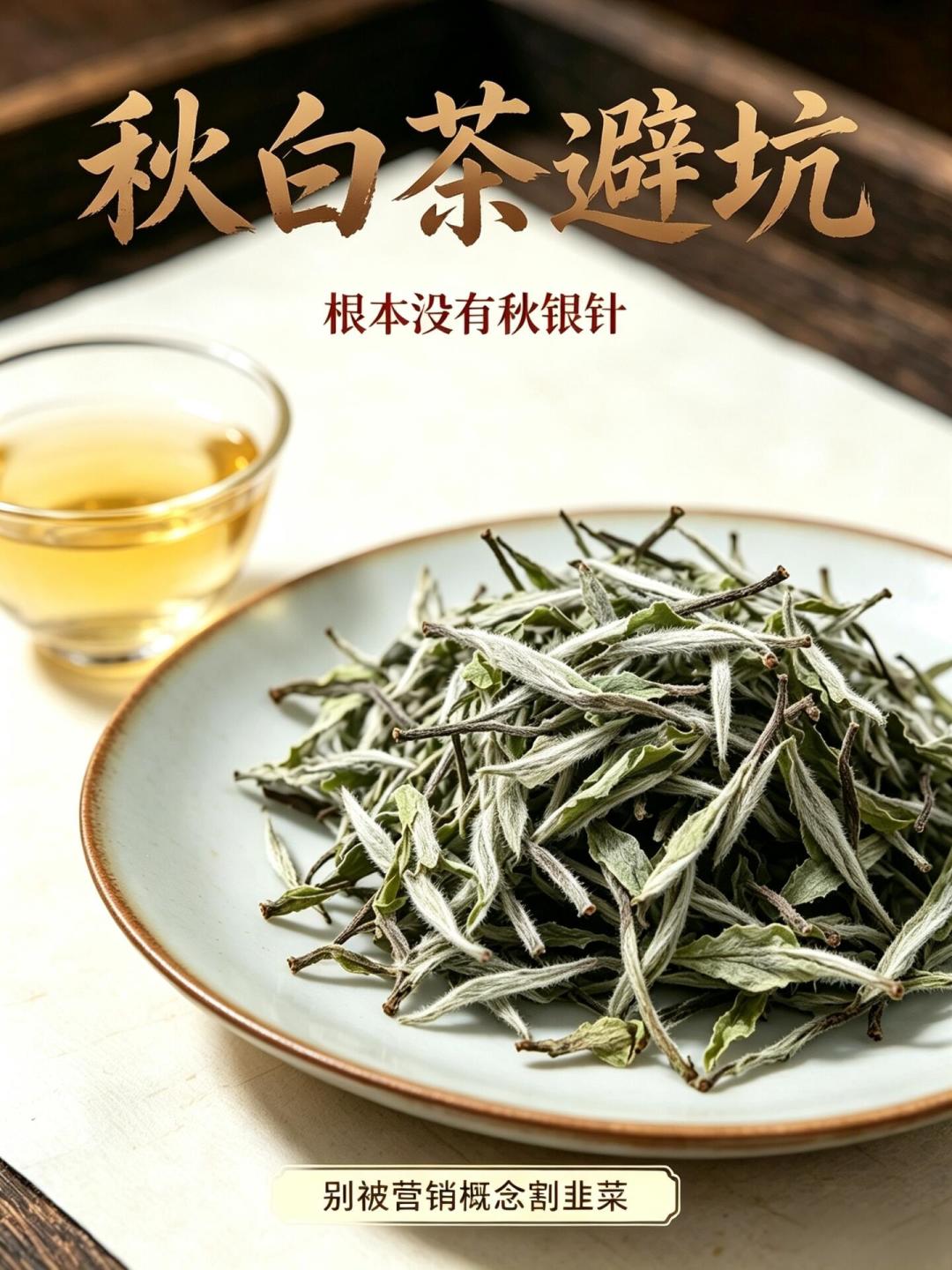秋分刚过煮茶季开场,「十年老寿眉」突然变多了:我把9月23日两条同日避坑帖、外黑内绿的铁证、压饼只有二十多年历史的时间线和99元老饼的对不上账摆齐,理清做旧的3条路数、2种容易被误伤的茶和开炉前4类人的动作