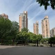 《爱情公寓》五人合体刷屏：辟谣杀不死“回归季”，该等的其实不是第六季